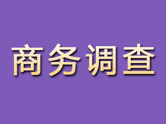 温泉商务调查